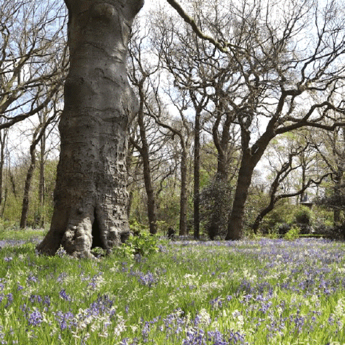 Nieuwe richtlijnen tuinhistorisch onderzoek komen er aan