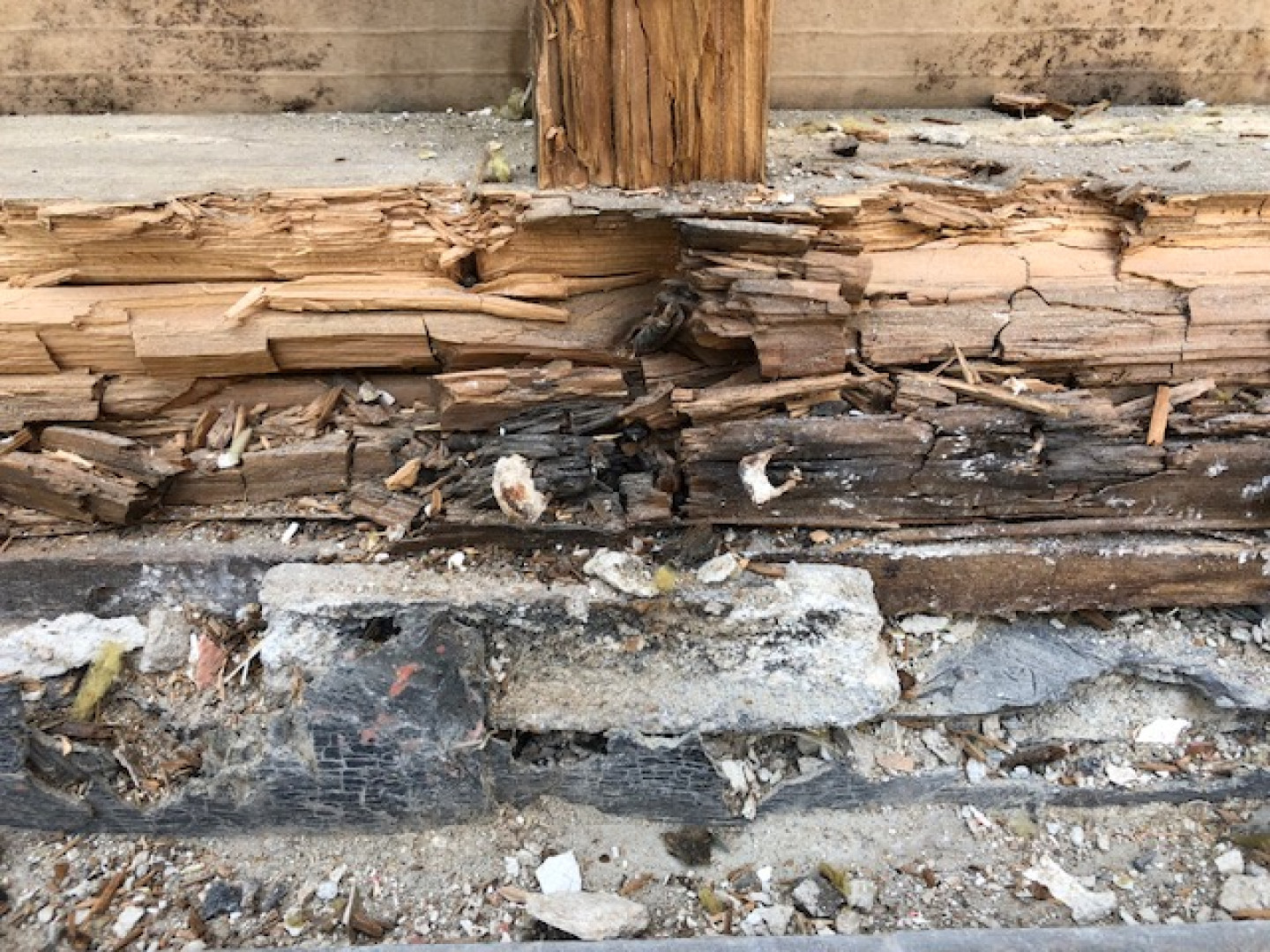 De schadeatlas: houvast in een wereld vol terminologie  