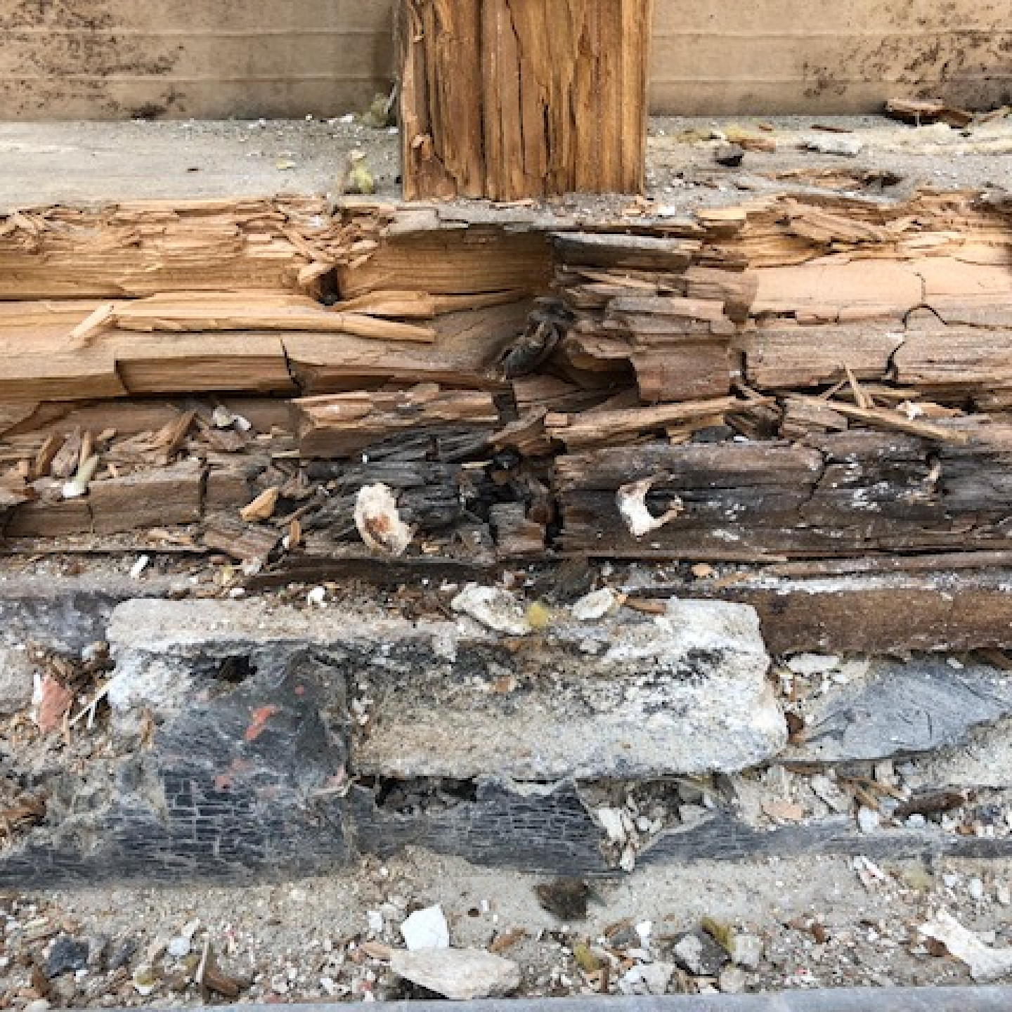 De schadeatlas: houvast in een wereld vol terminologie  