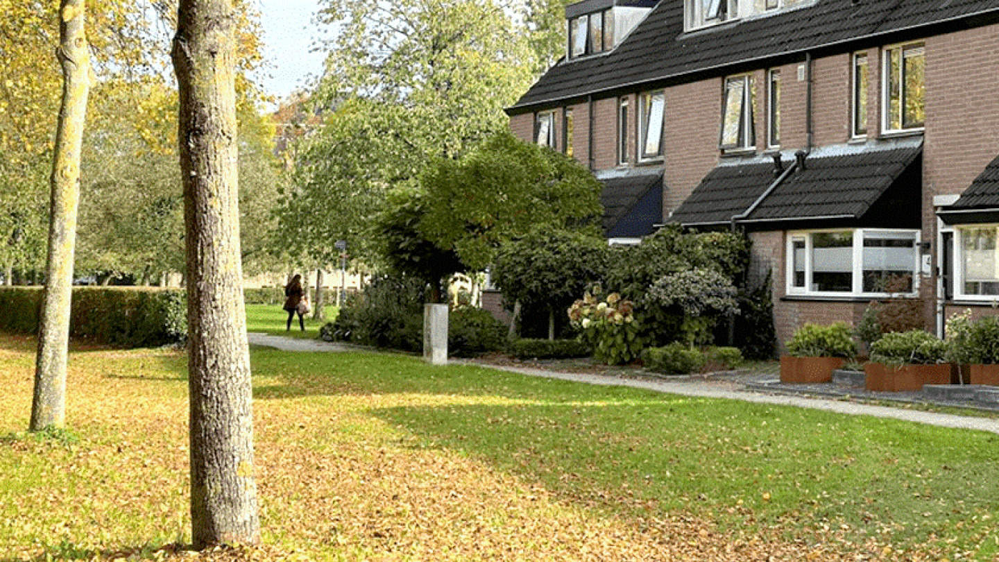 Groen erfgoed in de stad