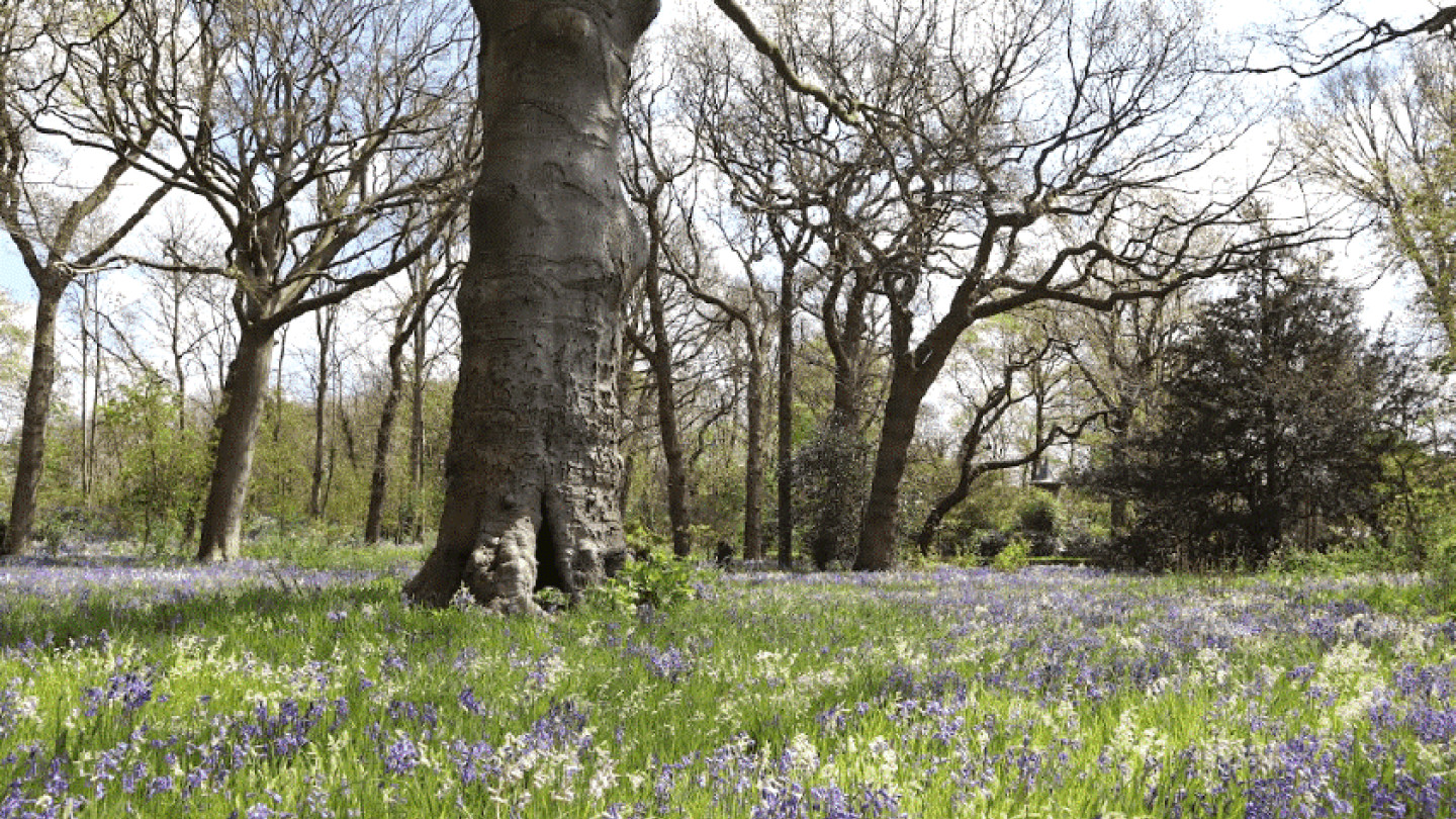 Nieuwe richtlijnen tuinhistorisch onderzoek 